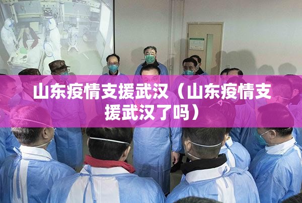 山东疫情支援武汉（山东疫情支援武汉了吗）