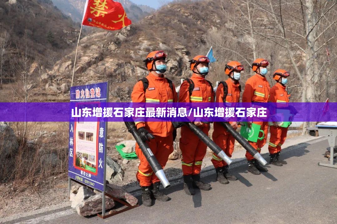 山东增援石家庄最新消息/山东增援石家庄