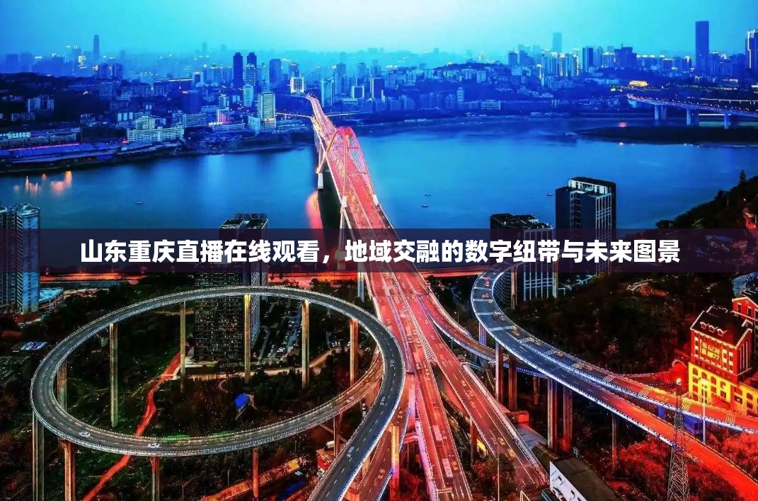 山东重庆直播在线观看，地域交融的数字纽带与未来图景