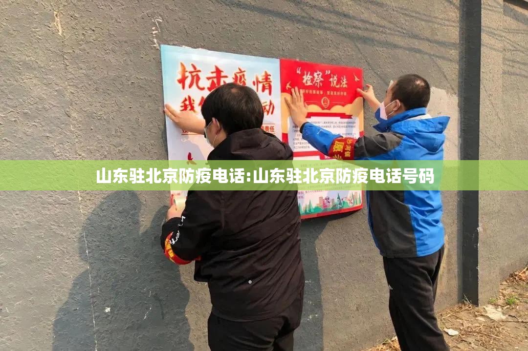 山东驻北京防疫电话:山东驻北京防疫电话号码