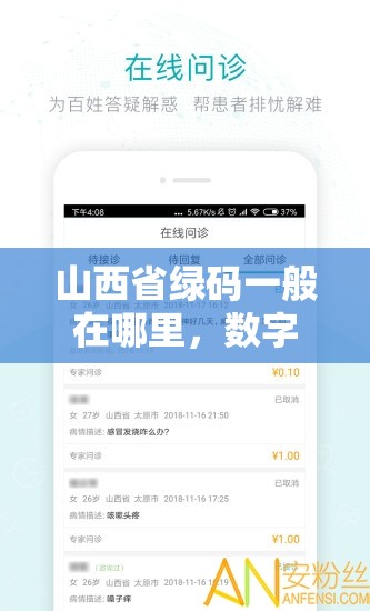 山西省绿码一般在哪里，数字化健康管理的便捷指南