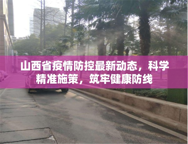 山西省疫情防控最新动态，科学精准施策，筑牢健康防线
