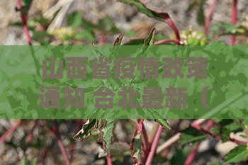 山西省疫情政策通知 台北最新（山西省疫情政策通知 台北最新消息）