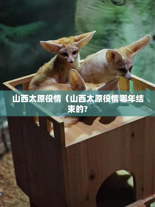 山西太原役情（山西太原役情哪年结束的?