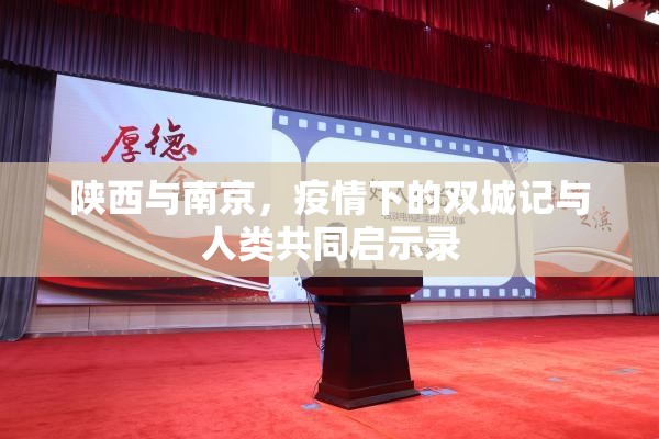 陕西与南京，疫情下的双城记与人类共同启示录