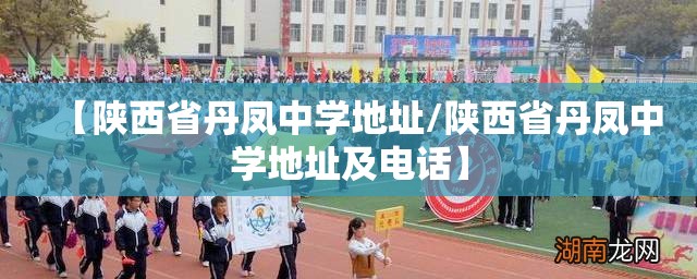 【陕西省丹凤中学地址/陕西省丹凤中学地址及电话】