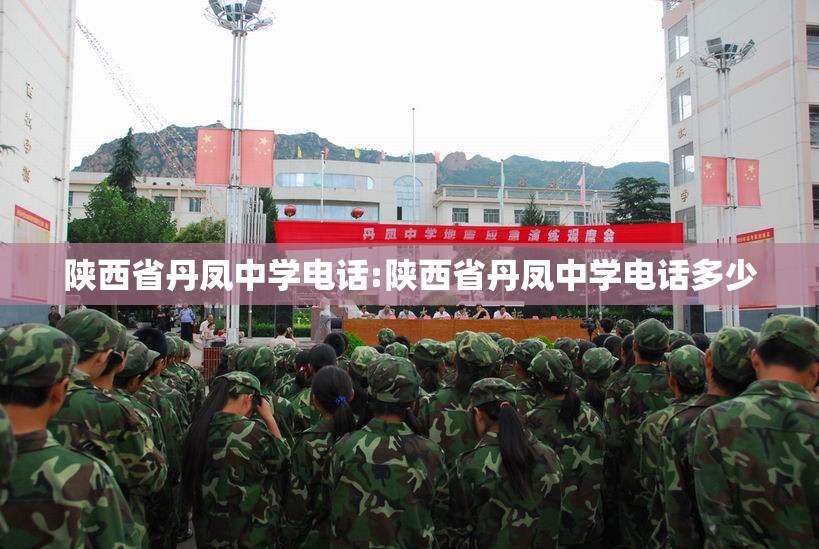 陕西省丹凤中学电话:陕西省丹凤中学电话多少