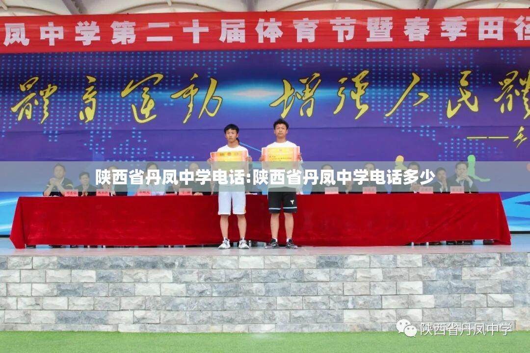 陕西省丹凤中学电话:陕西省丹凤中学电话多少