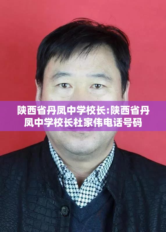 陕西省丹凤中学校长:陕西省丹凤中学校长杜家伟电话号码