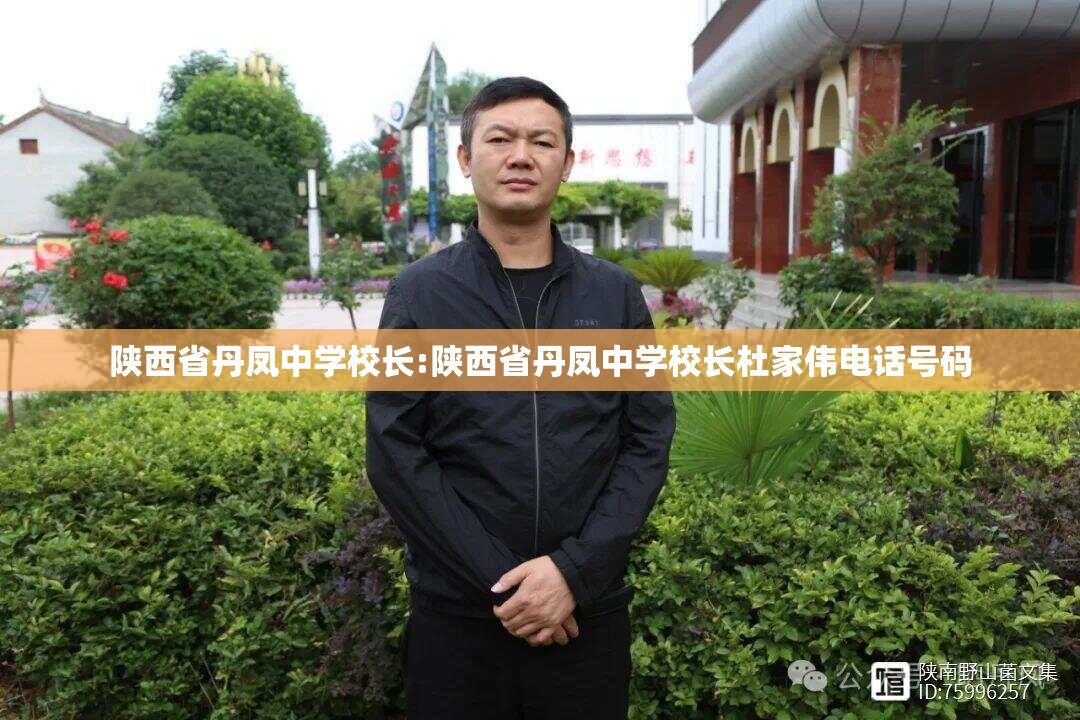 陕西省丹凤中学校长:陕西省丹凤中学校长杜家伟电话号码