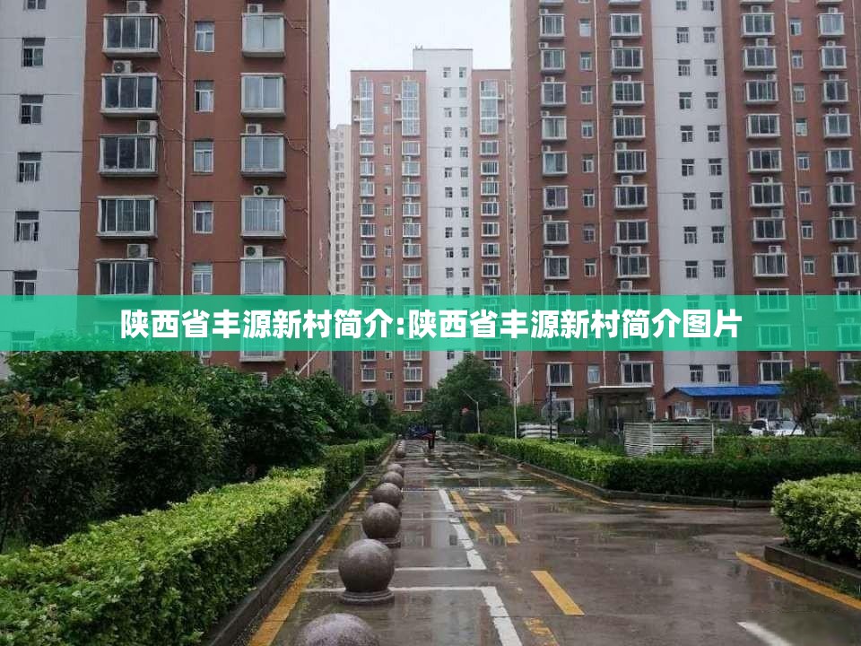 陕西省丰源新村简介:陕西省丰源新村简介图片