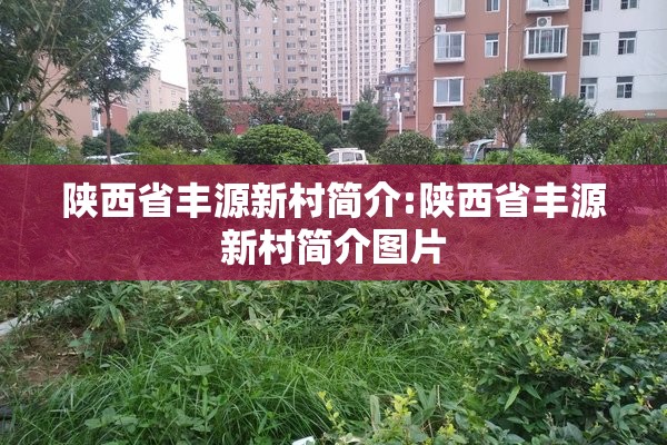 陕西省丰源新村简介:陕西省丰源新村简介图片