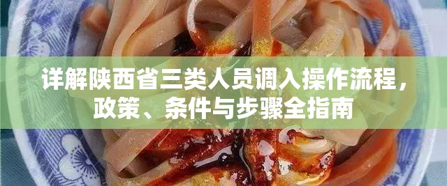 详解陕西省三类人员调入操作流程，政策、条件与步骤全指南