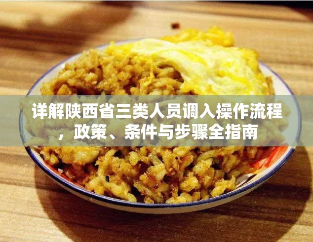 详解陕西省三类人员调入操作流程，政策、条件与步骤全指南