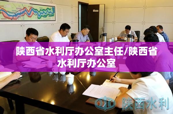 陕西省水利厅办公室主任/陕西省水利厅办公室