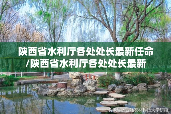 陕西省水利厅各处处长最新任命/陕西省水利厅各处处长最新