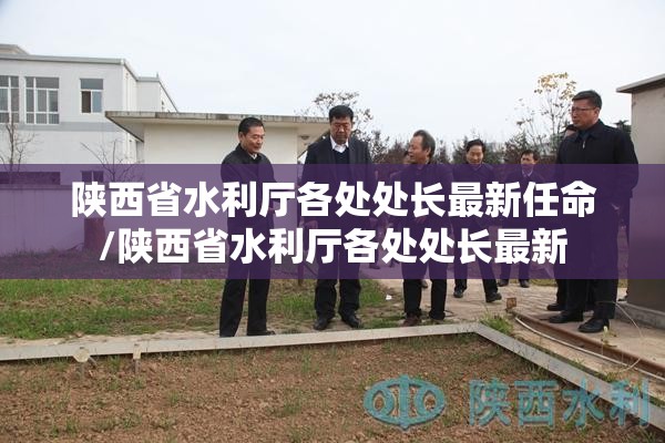 陕西省水利厅各处处长最新任命/陕西省水利厅各处处长最新