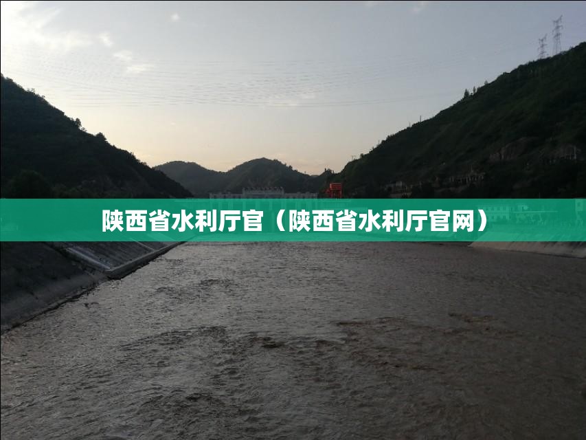陕西省水利厅官（陕西省水利厅官网）