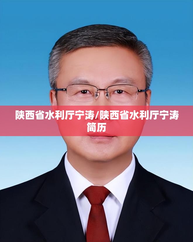 陕西省水利厅宁涛/陕西省水利厅宁涛简历