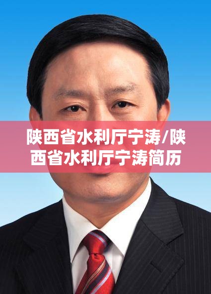 陕西省水利厅宁涛/陕西省水利厅宁涛简历