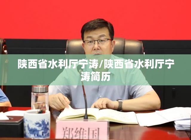 陕西省水利厅宁涛/陕西省水利厅宁涛简历