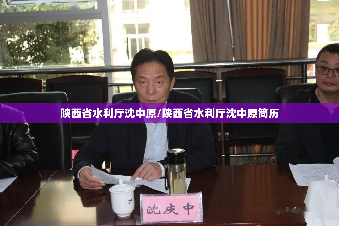 陕西省水利厅沈中原/陕西省水利厅沈中原简历
