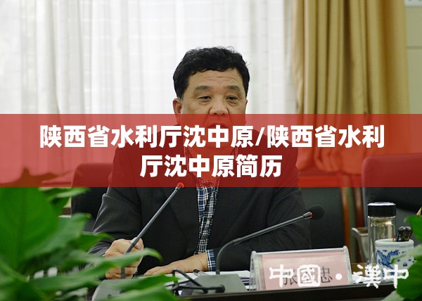 陕西省水利厅沈中原/陕西省水利厅沈中原简历