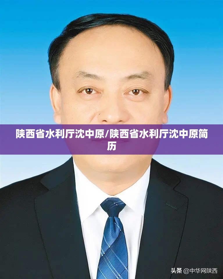 陕西省水利厅沈中原/陕西省水利厅沈中原简历