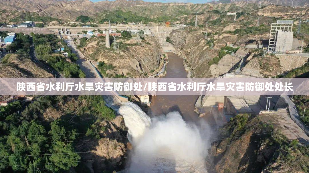 陕西省水利厅水旱灾害防御处/陕西省水利厅水旱灾害防御处处长