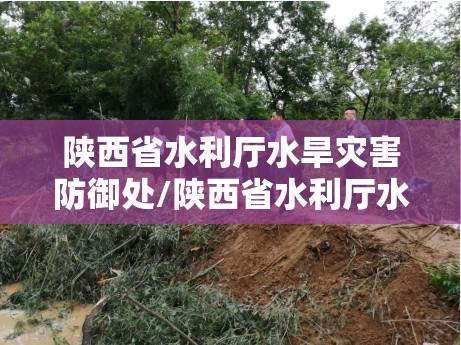 陕西省水利厅水旱灾害防御处/陕西省水利厅水旱灾害防御处处长
