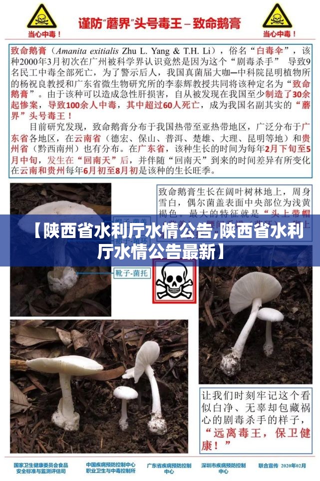 【陕西省水利厅水情公告,陕西省水利厅水情公告最新】