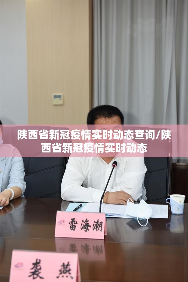 陕西省新冠疫情实时动态查询/陕西省新冠疫情实时动态