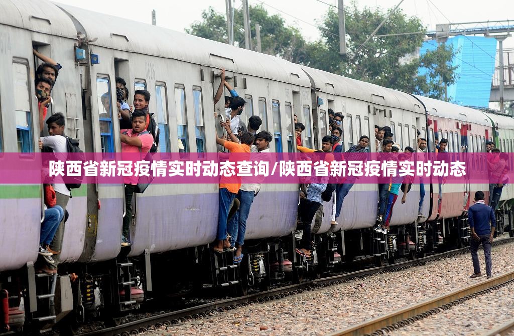 陕西省新冠疫情实时动态查询/陕西省新冠疫情实时动态