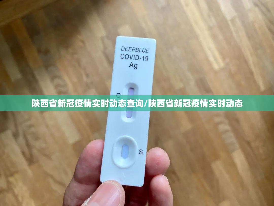陕西省新冠疫情实时动态查询/陕西省新冠疫情实时动态