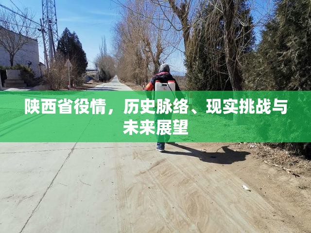 陕西省役情，历史脉络、现实挑战与未来展望