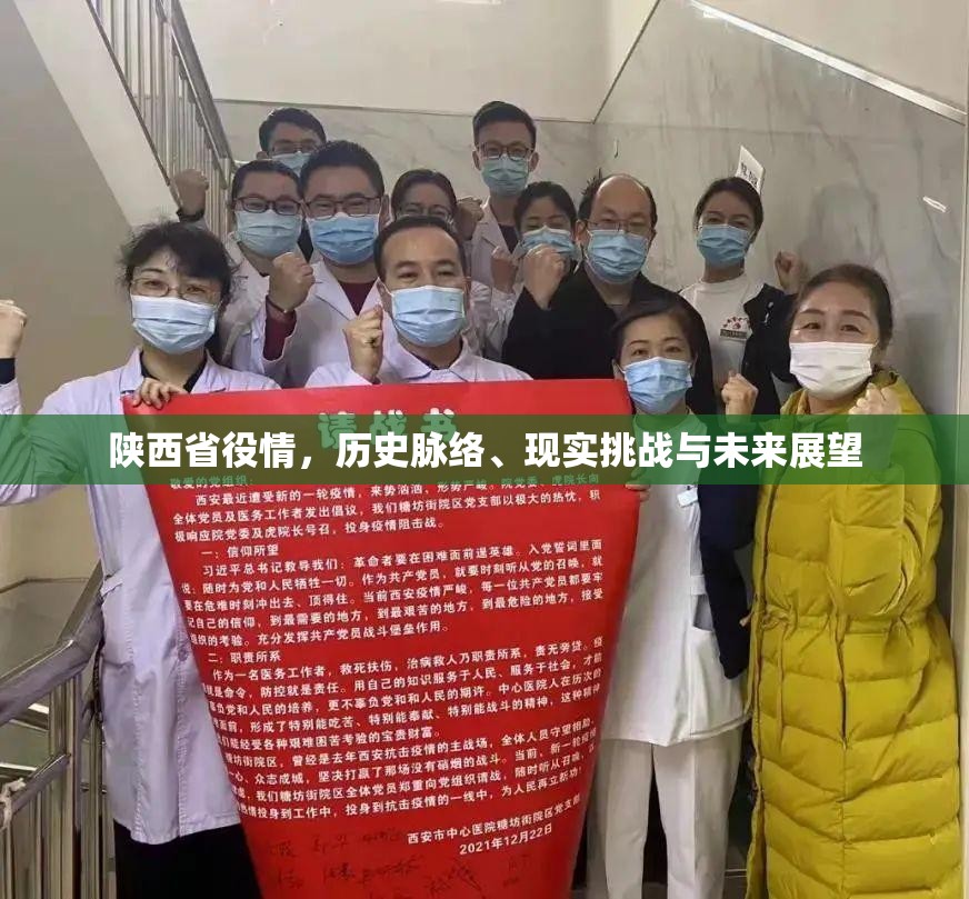 陕西省役情，历史脉络、现实挑战与未来展望