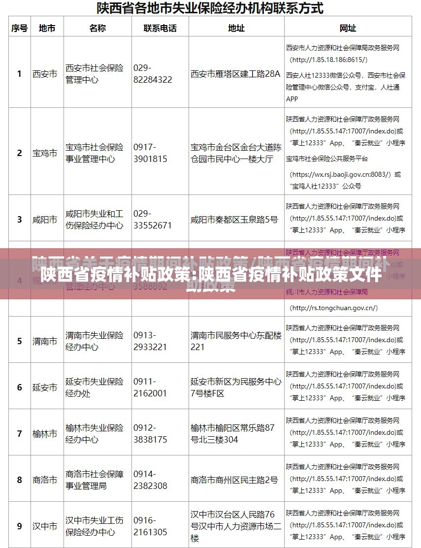 陕西省疫情补贴政策:陕西省疫情补贴政策文件