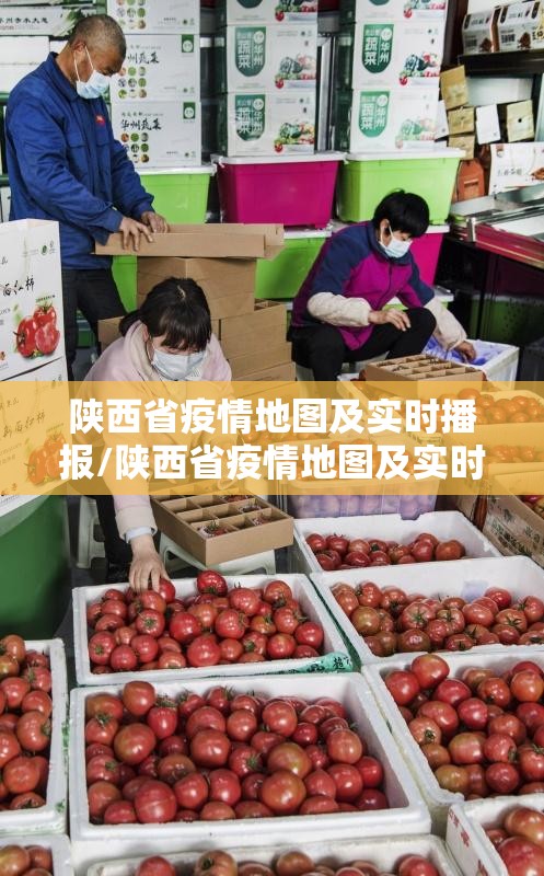 陕西省疫情地图及实时播报/陕西省疫情地图及实时播报最新