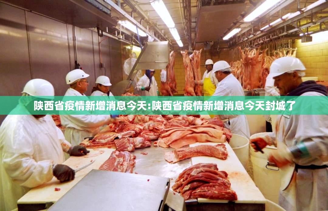 陕西省疫情新增消息今天:陕西省疫情新增消息今天封城了