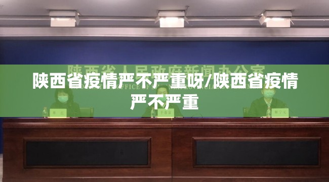 陕西省疫情严不严重呀/陕西省疫情严不严重