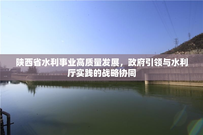 陕西省水利事业高质量发展，政府引领与水利厅实践的战略协同