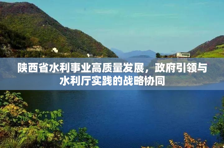陕西省水利事业高质量发展，政府引领与水利厅实践的战略协同