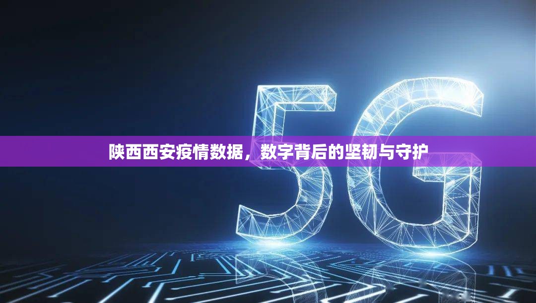 陕西西安疫情数据，数字背后的坚韧与守护