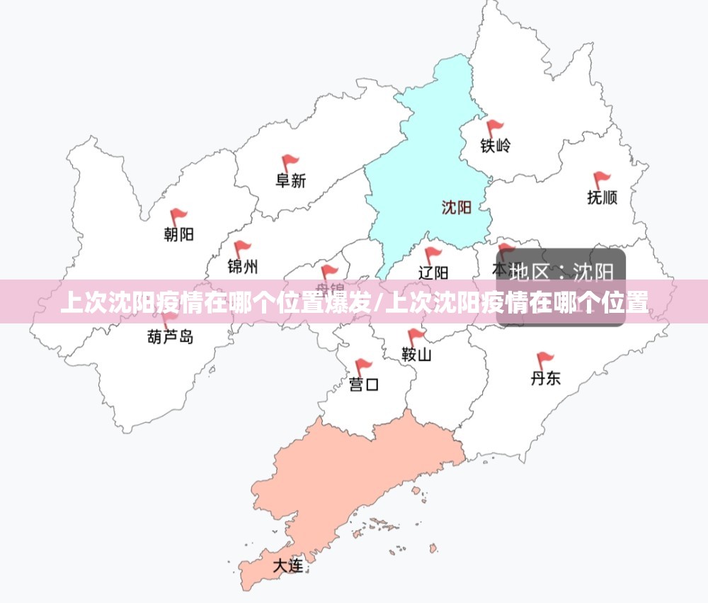 上次沈阳疫情在哪个位置爆发/上次沈阳疫情在哪个位置