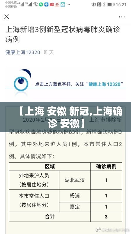 【上海 安徽 新冠,上海确诊 安徽】