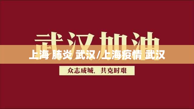 上海 肺炎 武汉/上海疫情 武汉