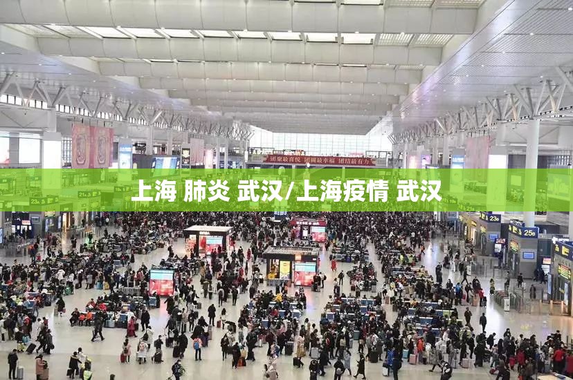 上海 肺炎 武汉/上海疫情 武汉