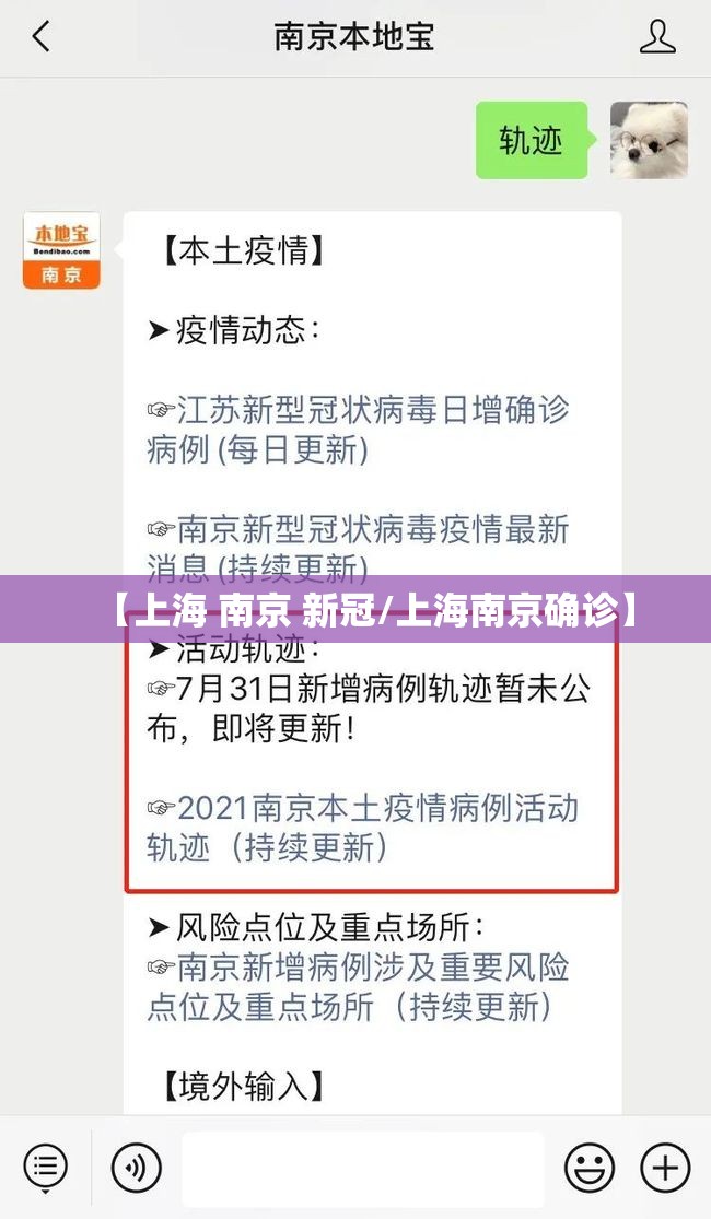 【上海 南京 新冠/上海南京确诊】