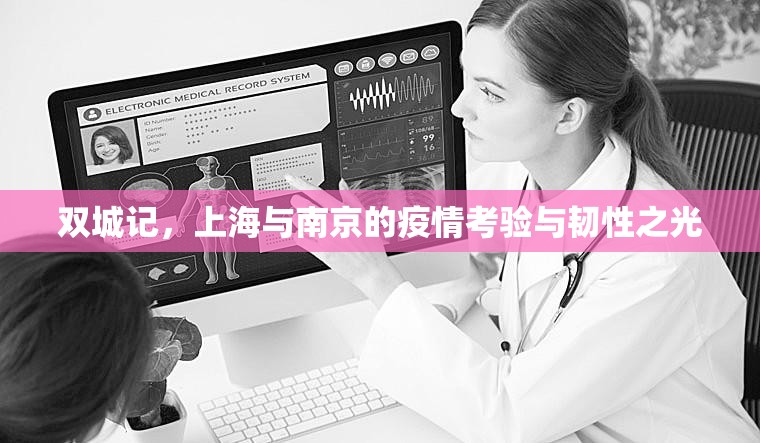 双城记，上海与南京的疫情考验与韧性之光