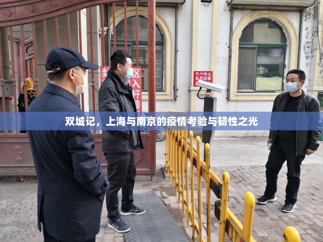 双城记，上海与南京的疫情考验与韧性之光